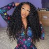 Indian Curly Raw Hair 4x4 HD Lace Closure Wig